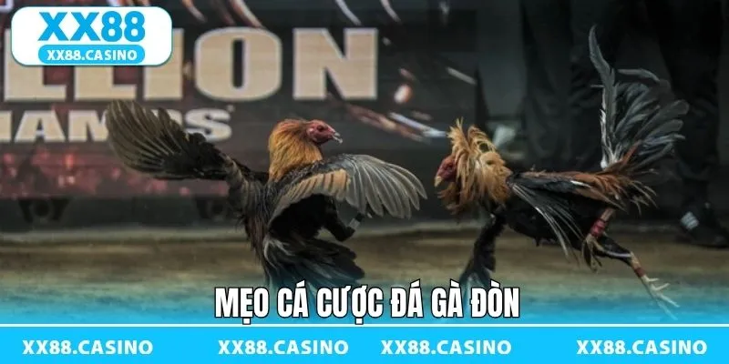 Chiến thuật quan trọng áp dụng trong dự đoán đá gà Chiến thuật quan trọng áp dụng trong dự đoán đá gà